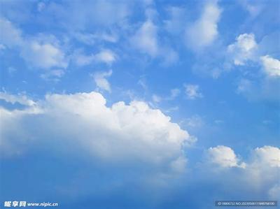 周公解梦：梦见猫的6种含义