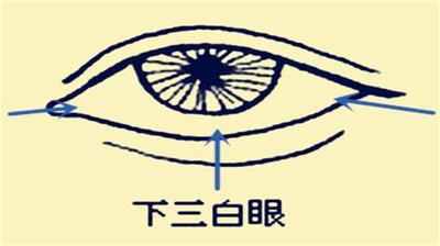 相术入门：通过鼻子了解一个人的事业