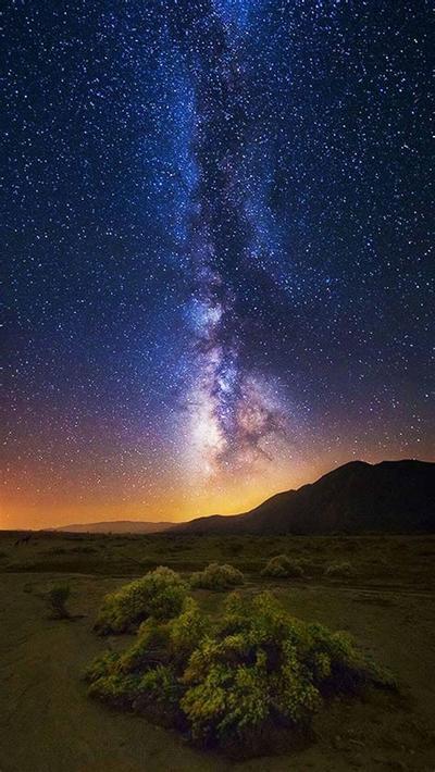 双子座的性格特点与事业深度解读